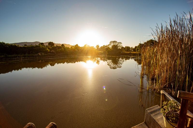 5 Bedroom Property for Sale in The Crags Western Cape